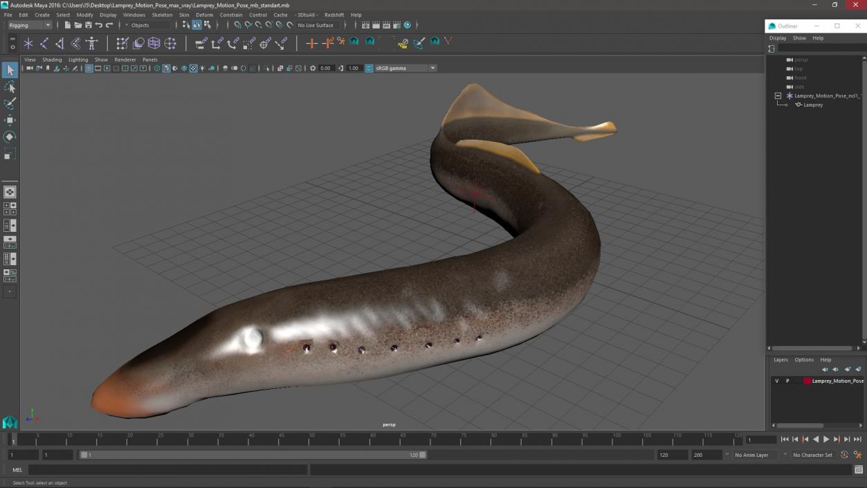 Lamprey Motion pose 3D model