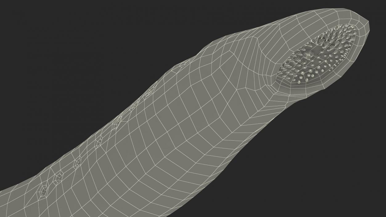 Lamprey Motion pose 3D model