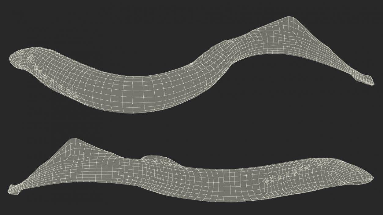 Lamprey Motion pose 3D model