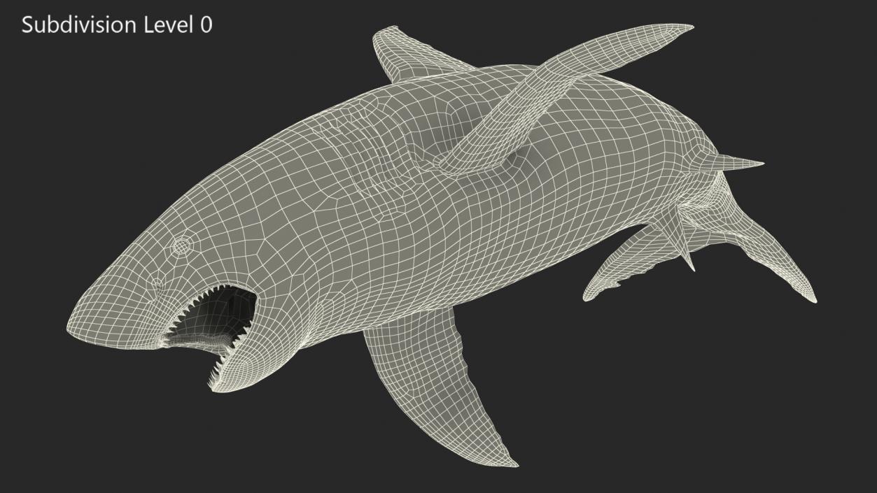 Great White Shark Fish Rigged 3D model