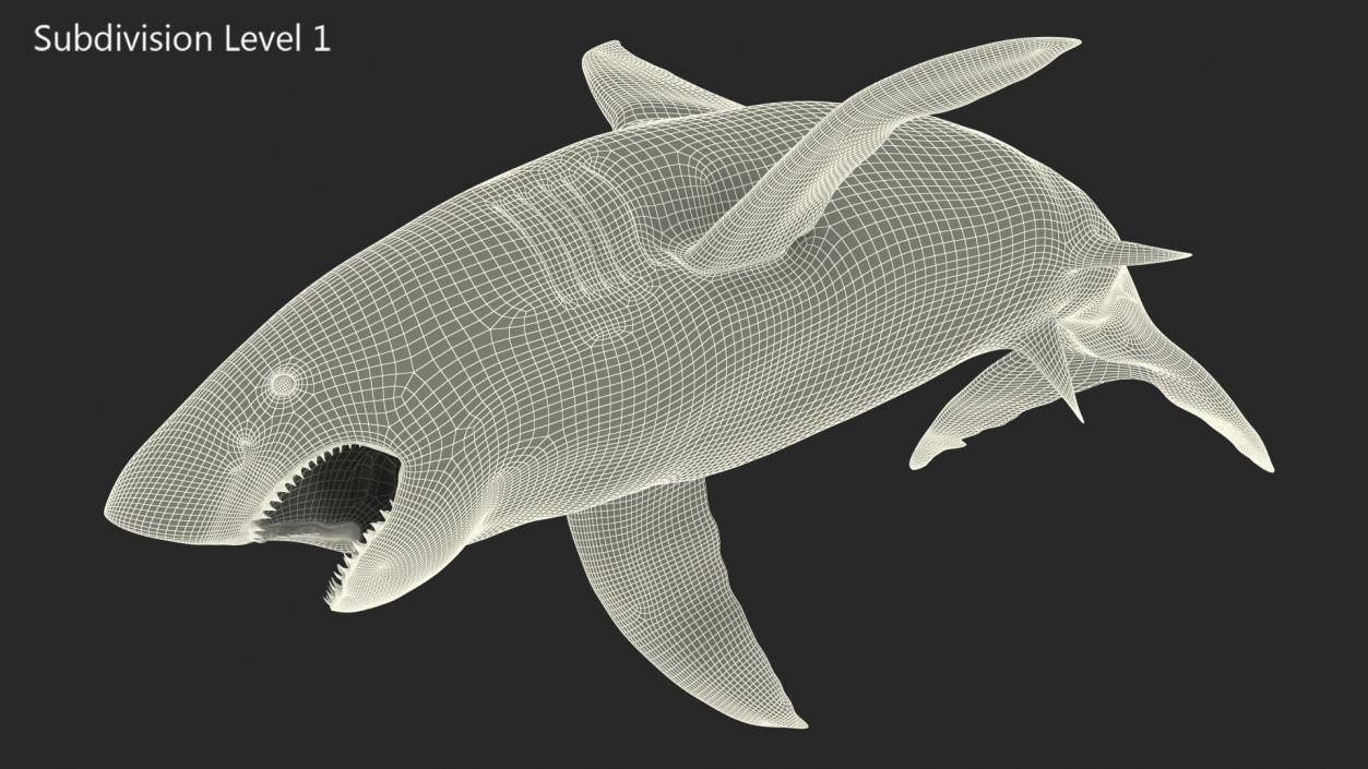 Great White Shark Fish Rigged 3D model