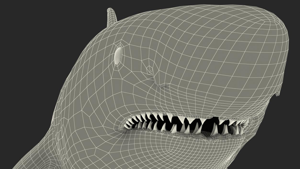 Great White Shark Fish Rigged 3D model