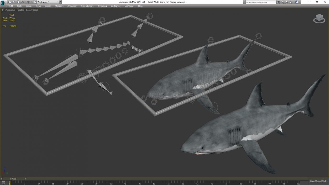 Great White Shark Fish Rigged 3D model