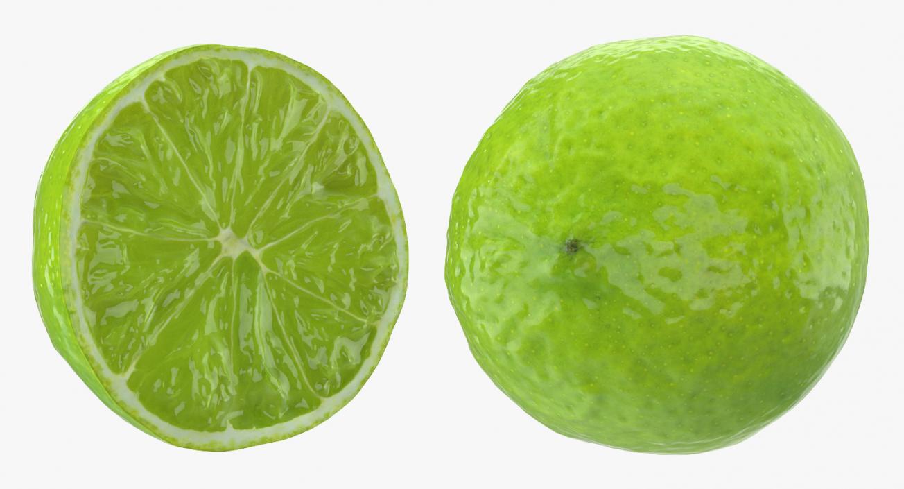 Half Lime 3D model