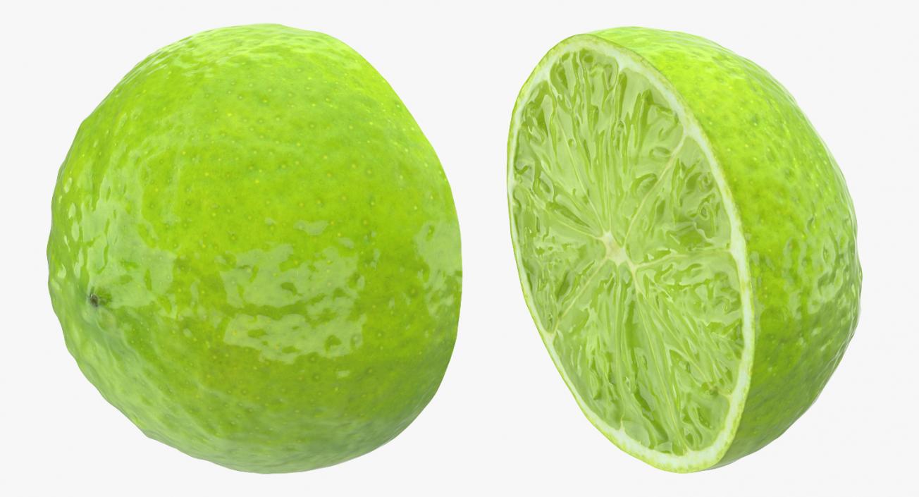 Half Lime 3D model