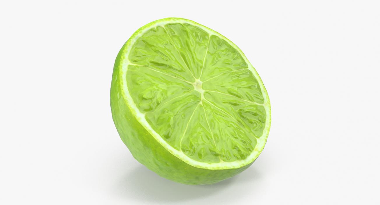 Half Lime 3D model