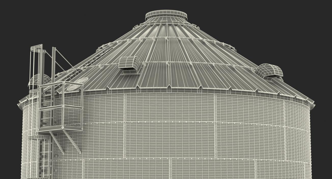 3D Systems for Grain Storage Generic model