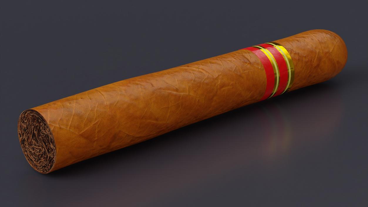 3D Cigar Thick 2 model