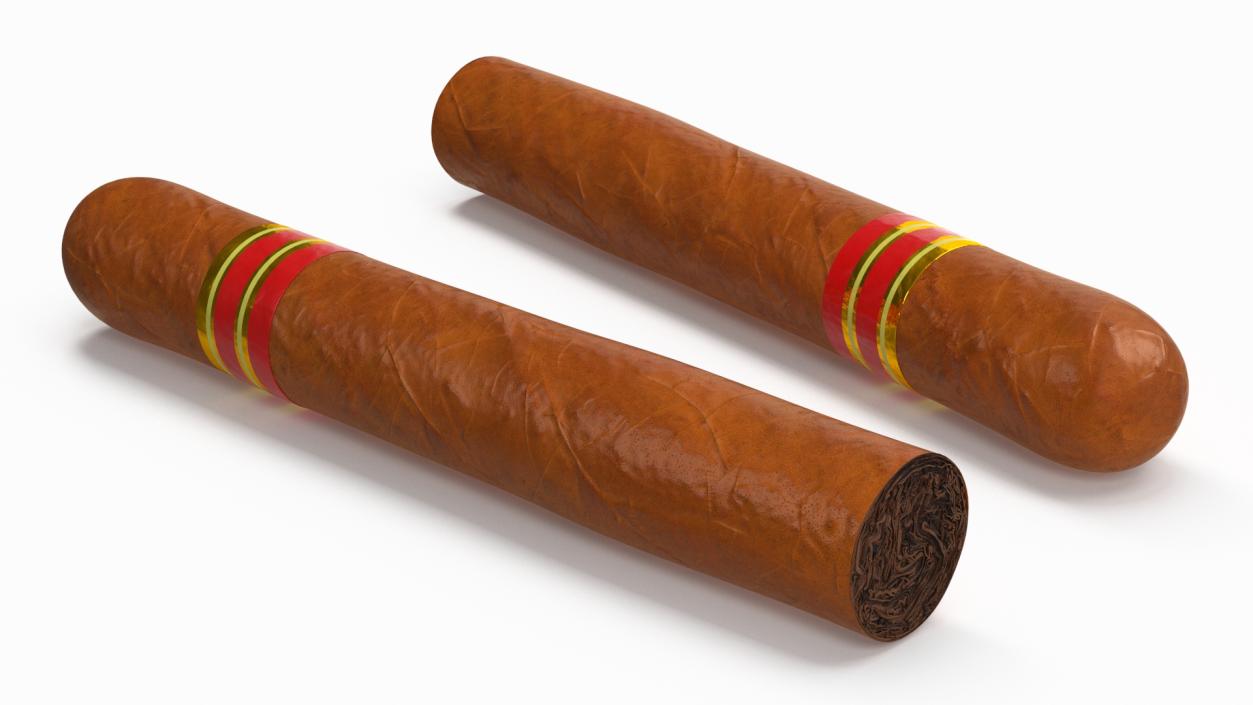 3D Cigar Thick 2 model