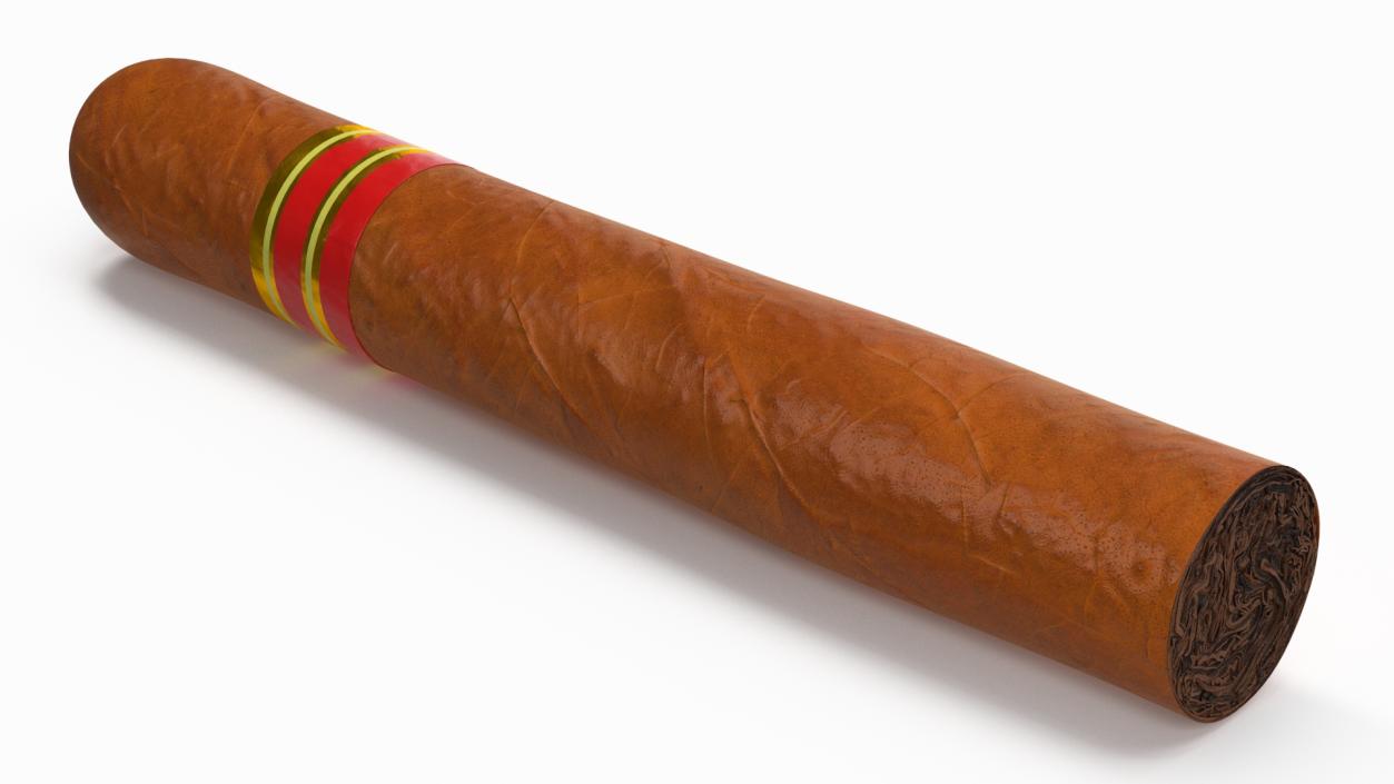 3D Cigar Thick 2 model