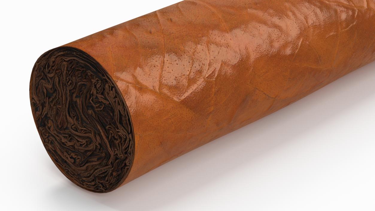 3D Cigar Thick 2 model