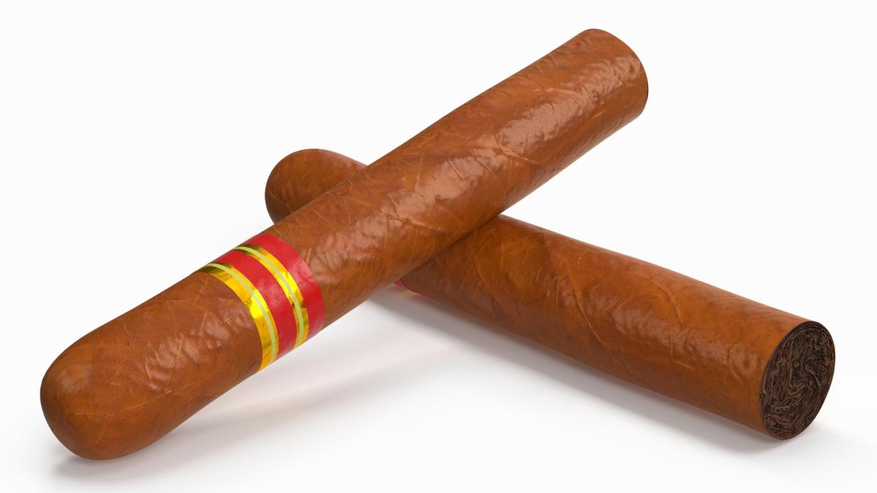 3D Cigar Thick 2 model