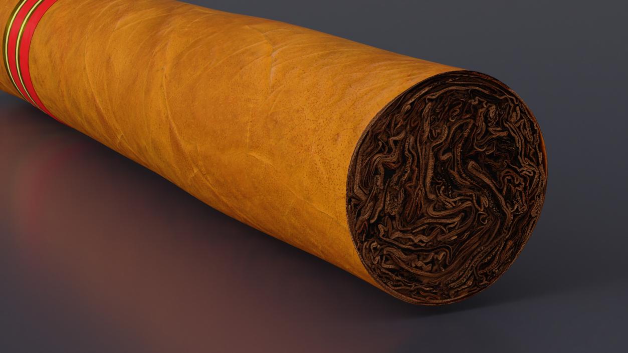 3D Cigar Thick 2 model