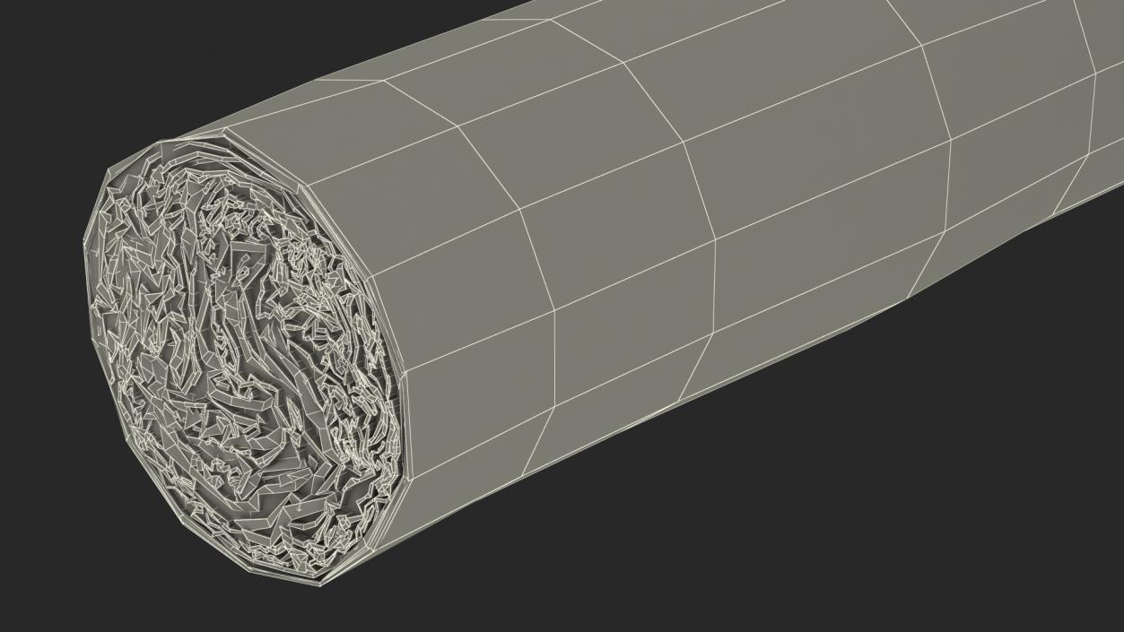 3D Cigar Thick 2 model