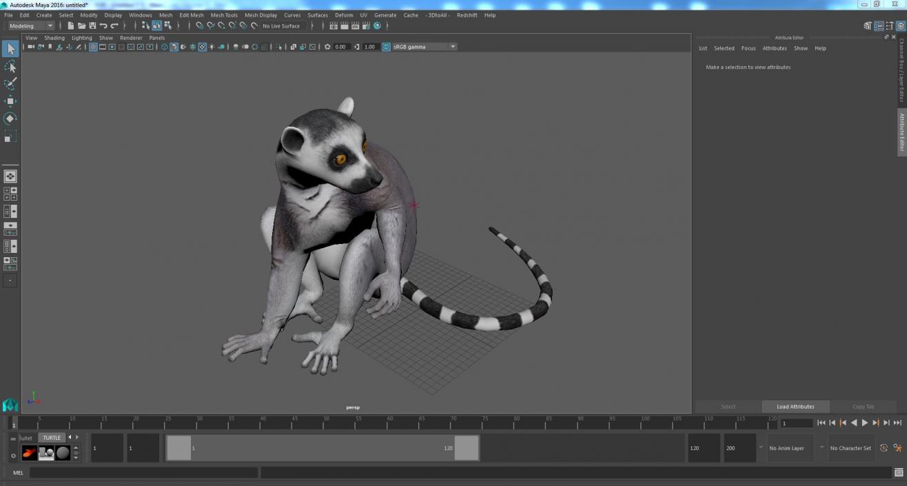 3D model Ring-tailed Lemur Sitting