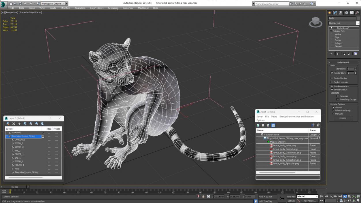 3D model Ring-tailed Lemur Sitting