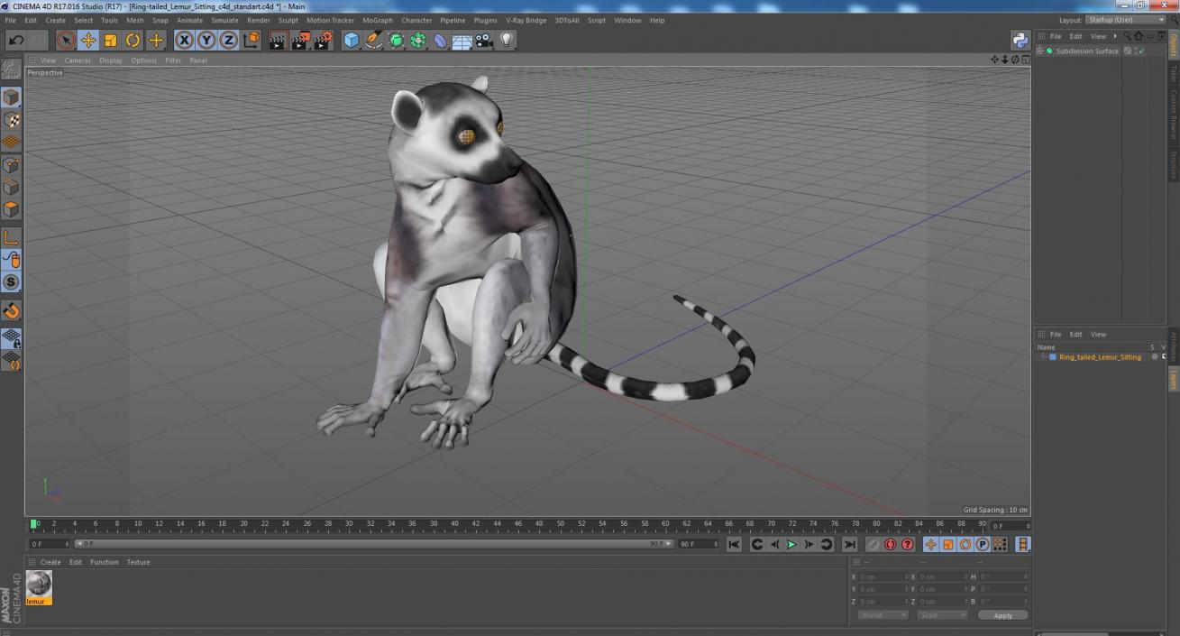 3D model Ring-tailed Lemur Sitting