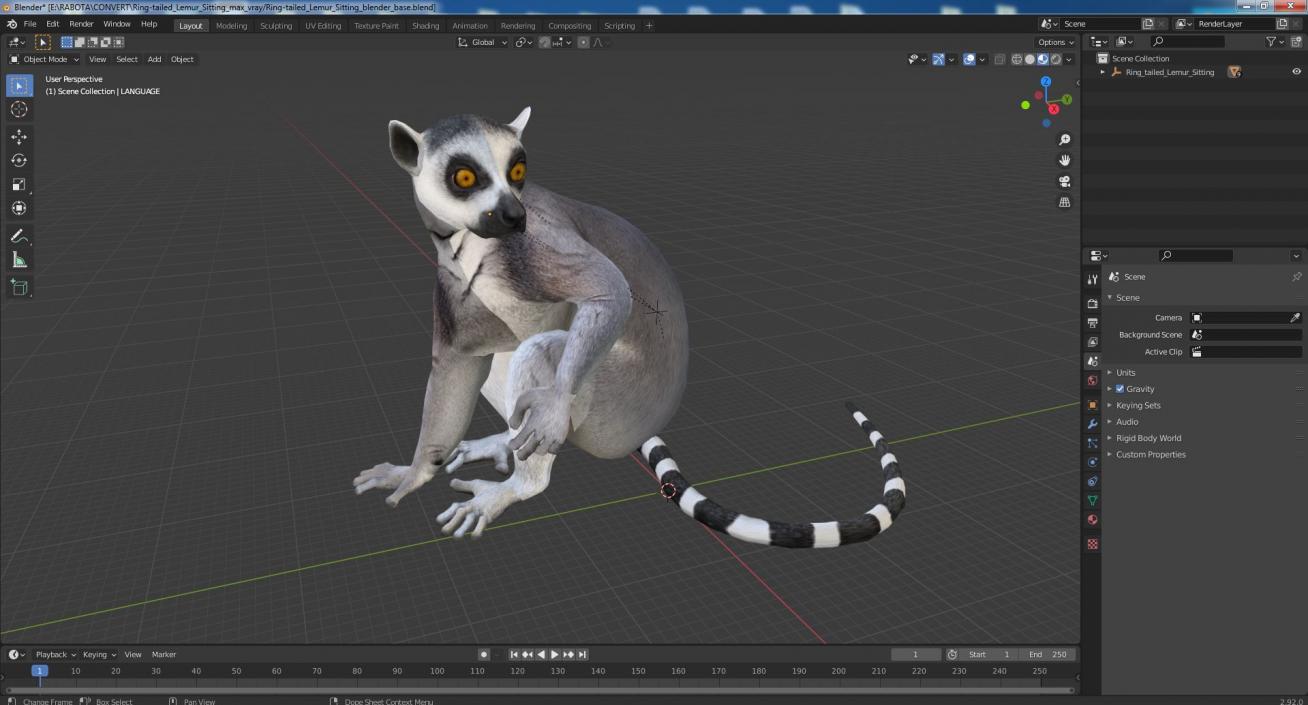 3D model Ring-tailed Lemur Sitting