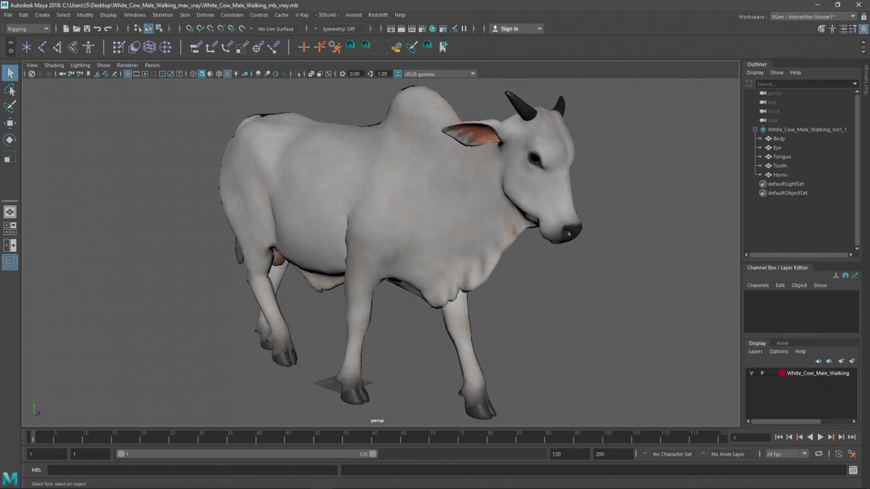 White Cow Male Walking 3D