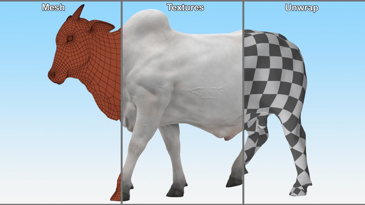 White Cow Male Walking 3D