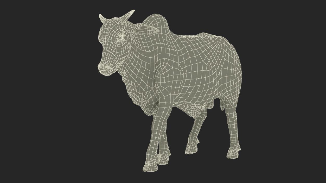 White Cow Male Walking 3D