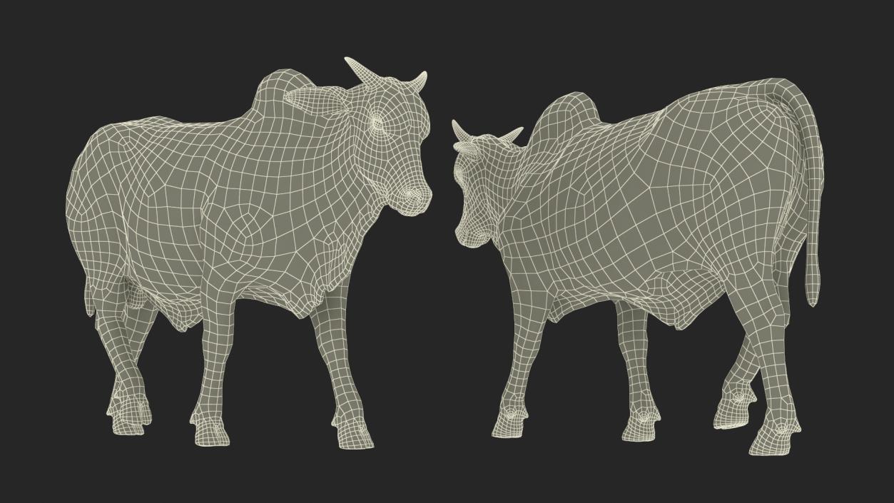 White Cow Male Walking 3D