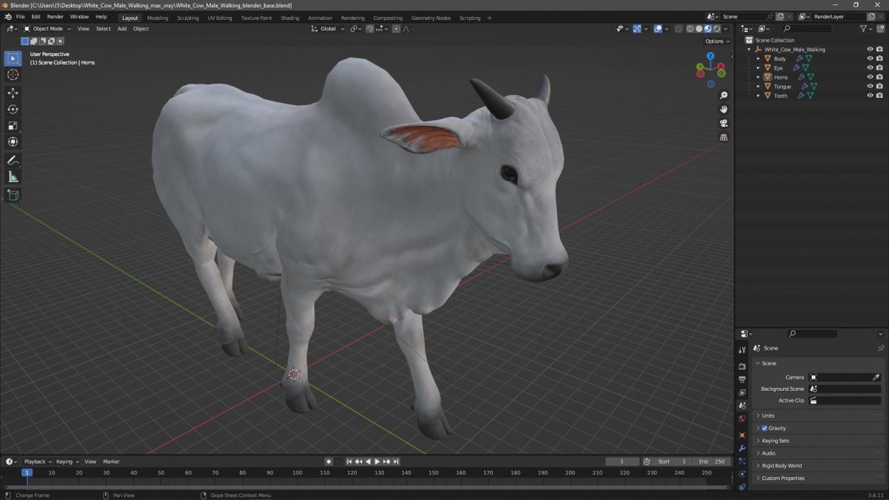 White Cow Male Walking 3D