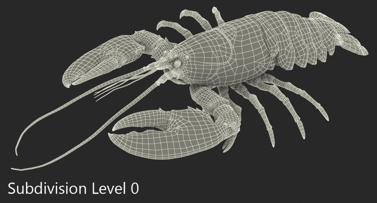 Lobster Rigged 3D model