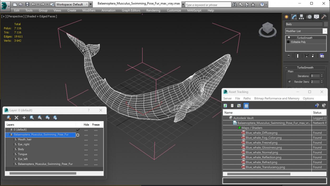 Balaenoptera Musculus Swimming Pose Fur 3D model