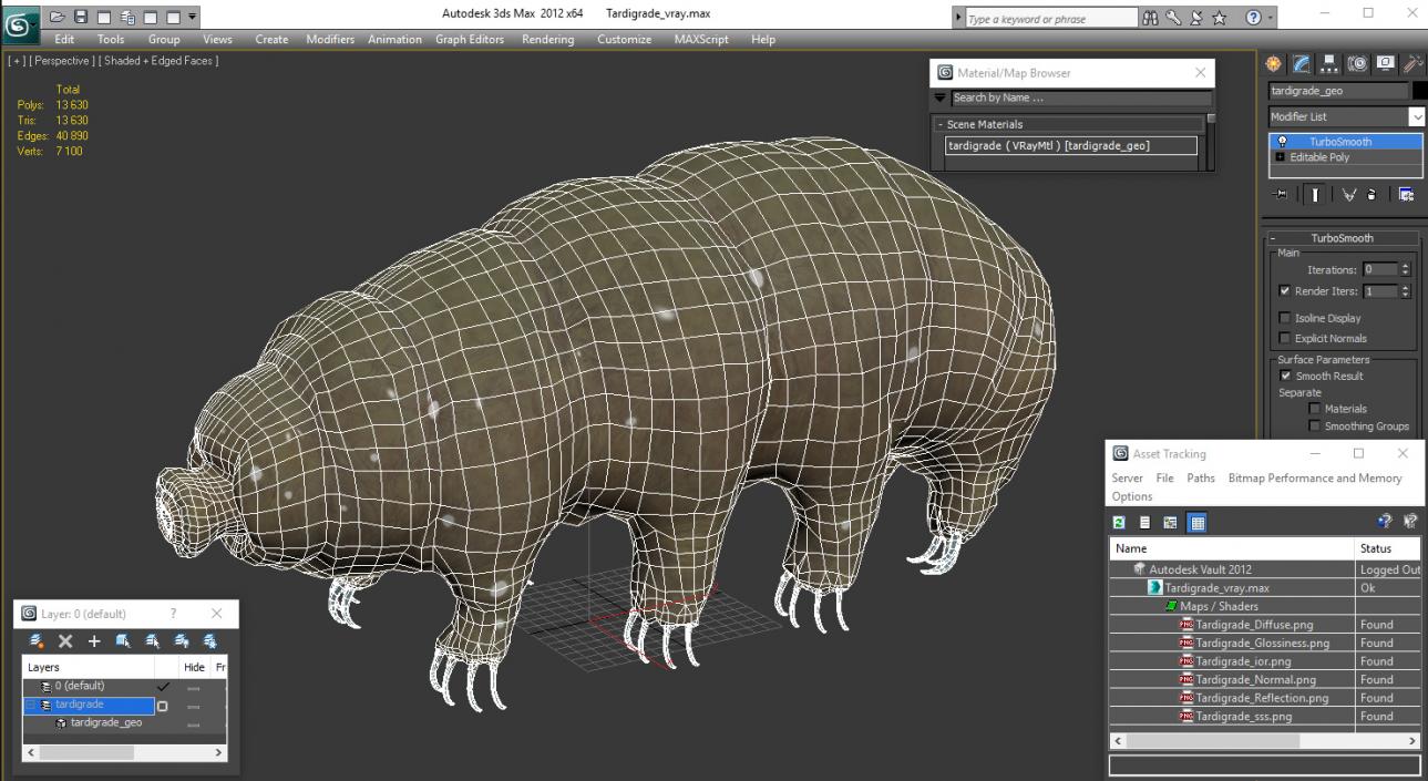 3D model Tardigrade