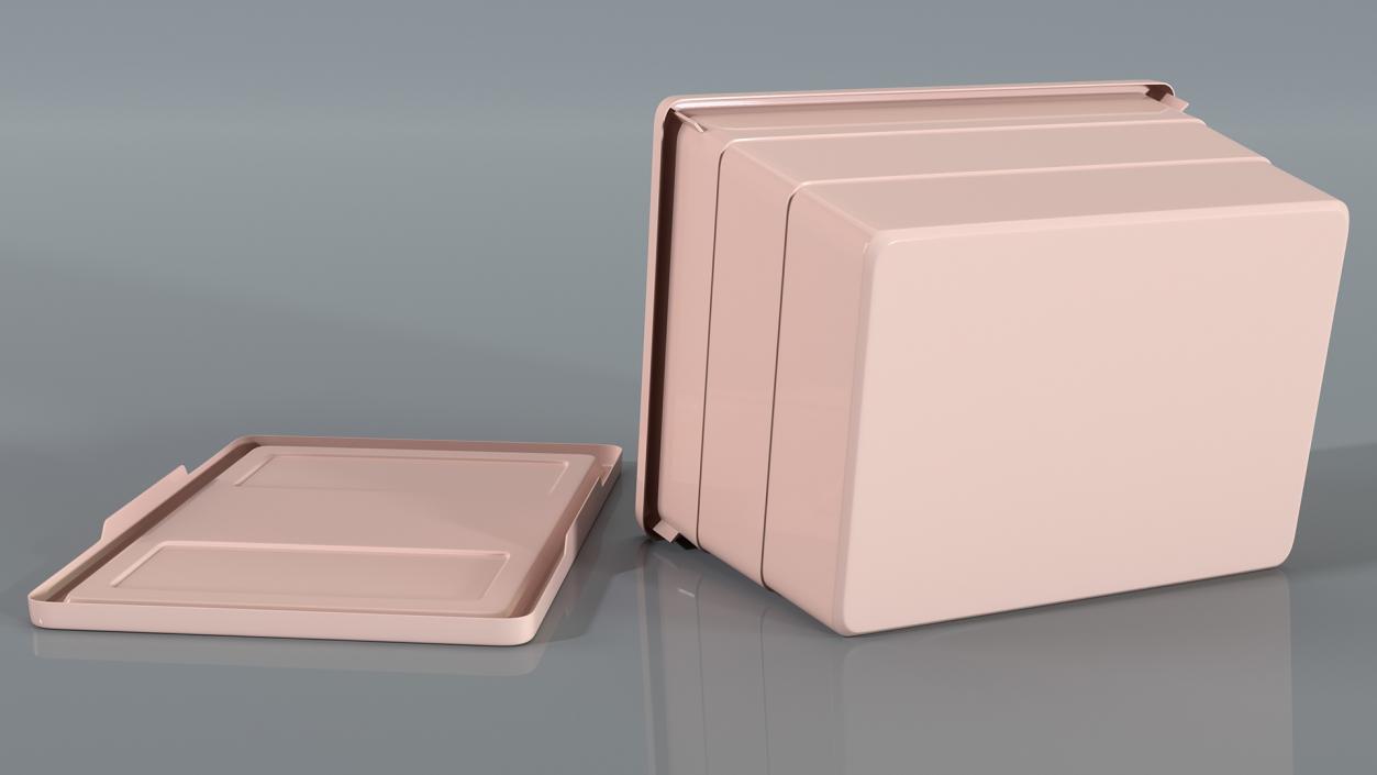 Pink Plastic Storage Box with Lid Set 3D