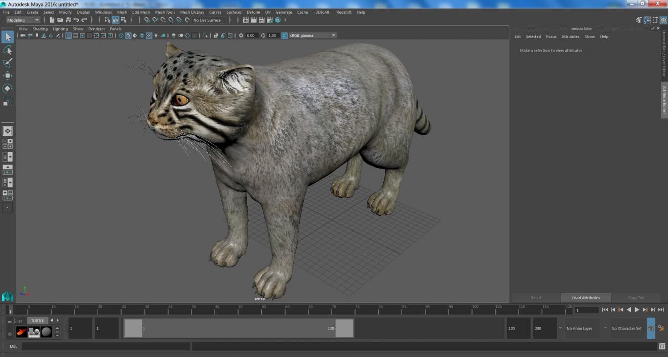 3D model Pallas Cat