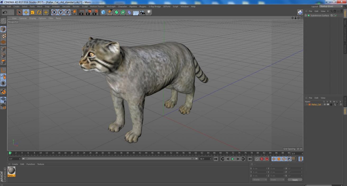 3D model Pallas Cat