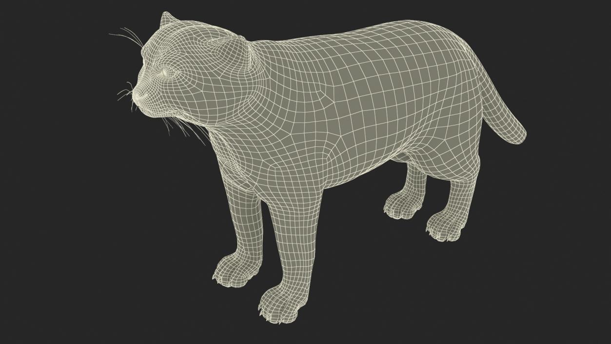 3D model Pallas Cat