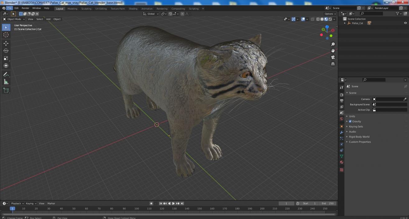 3D model Pallas Cat