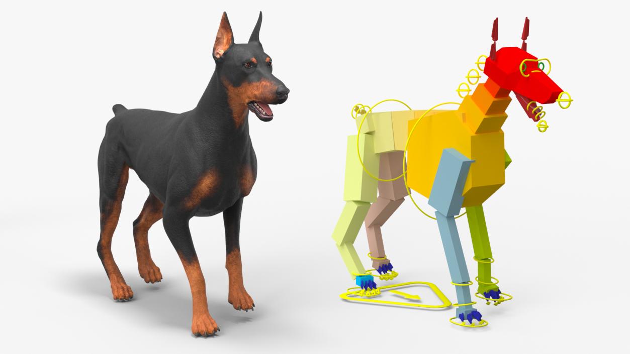 Doberman Pinscher Dog Rigged for Maya 3D