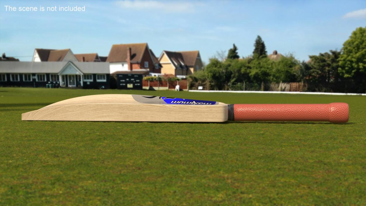 3D English Willow Cricket Bat