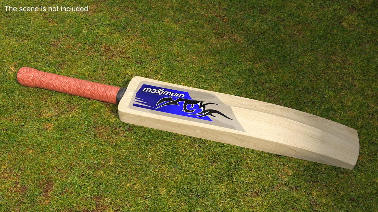 3D English Willow Cricket Bat