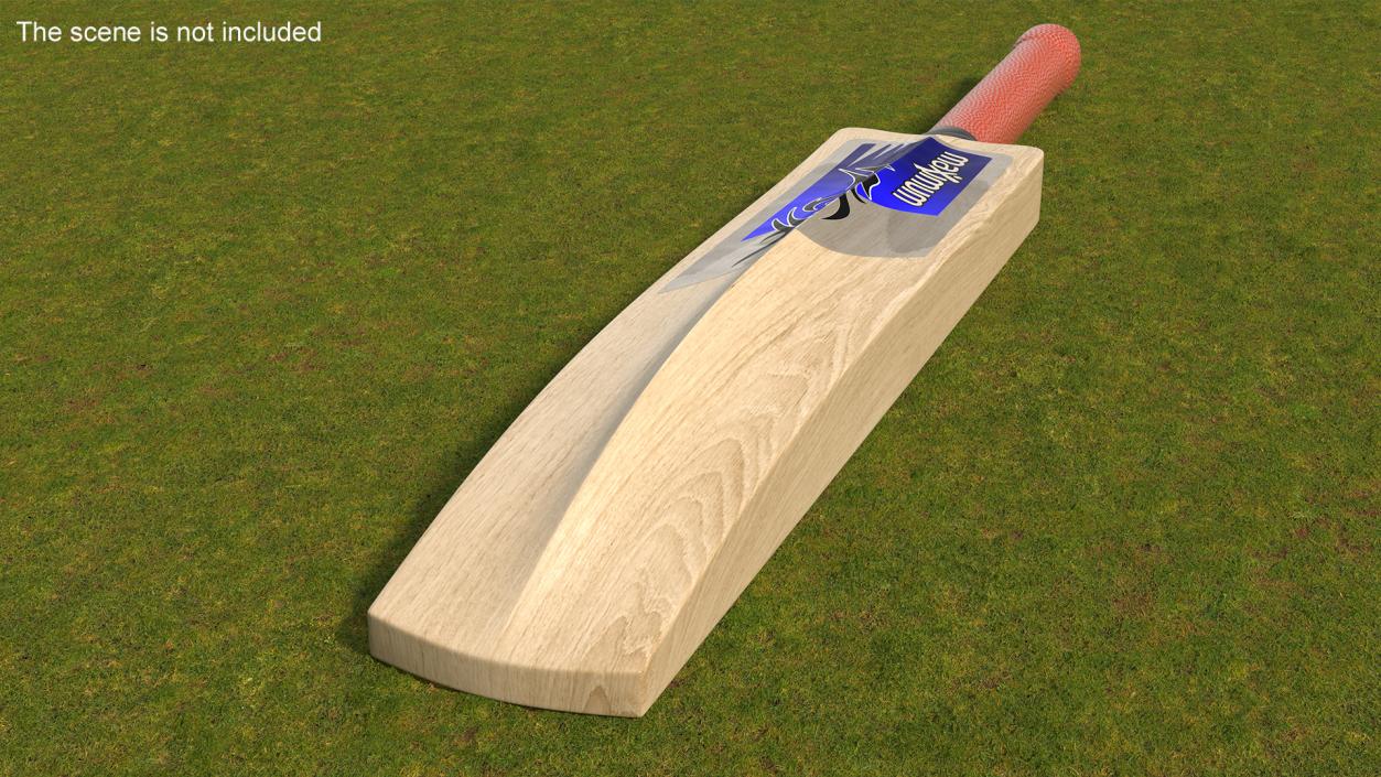 3D English Willow Cricket Bat