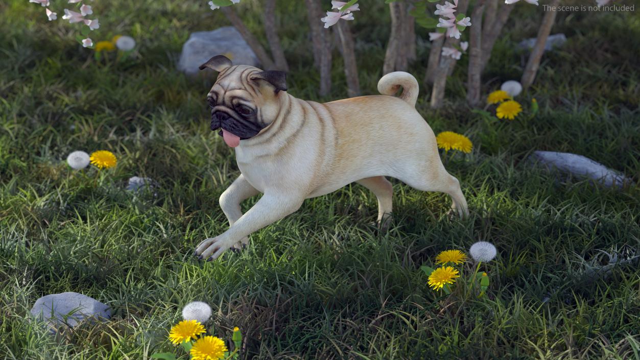 3D model Pug Dog Running Pose