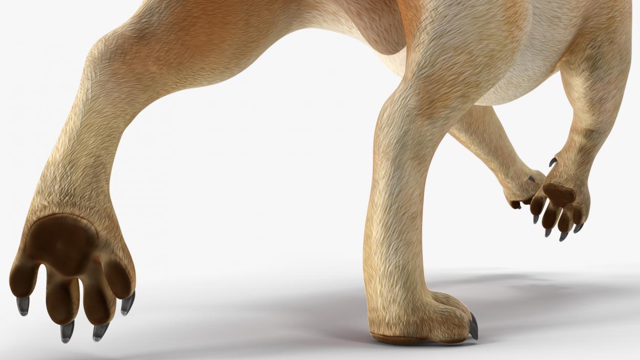 3D model Pug Dog Running Pose