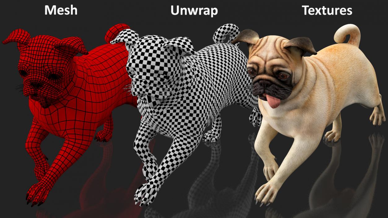 3D model Pug Dog Running Pose