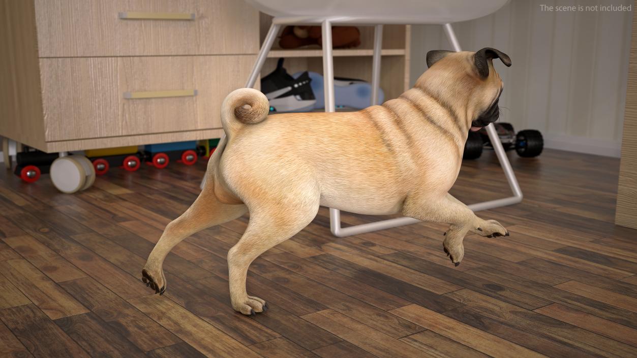 3D model Pug Dog Running Pose