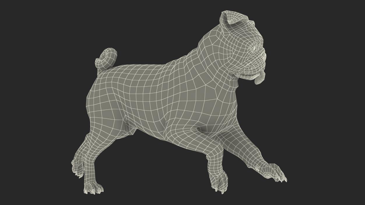 3D model Pug Dog Running Pose