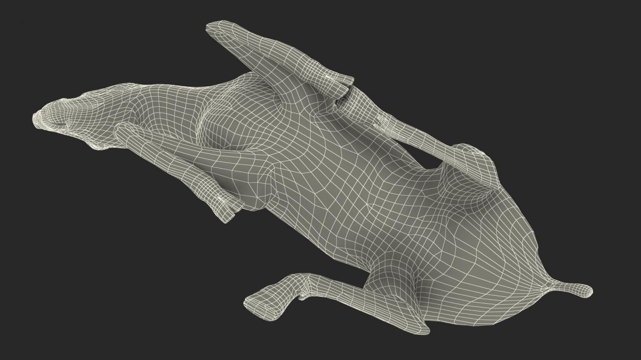 3D Saola Reclining Pose Fur 2