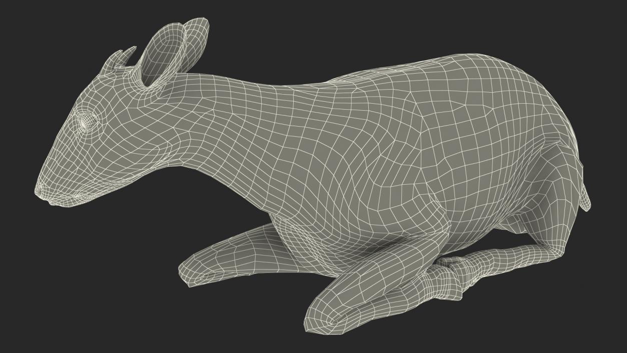 3D Saola Reclining Pose Fur 2