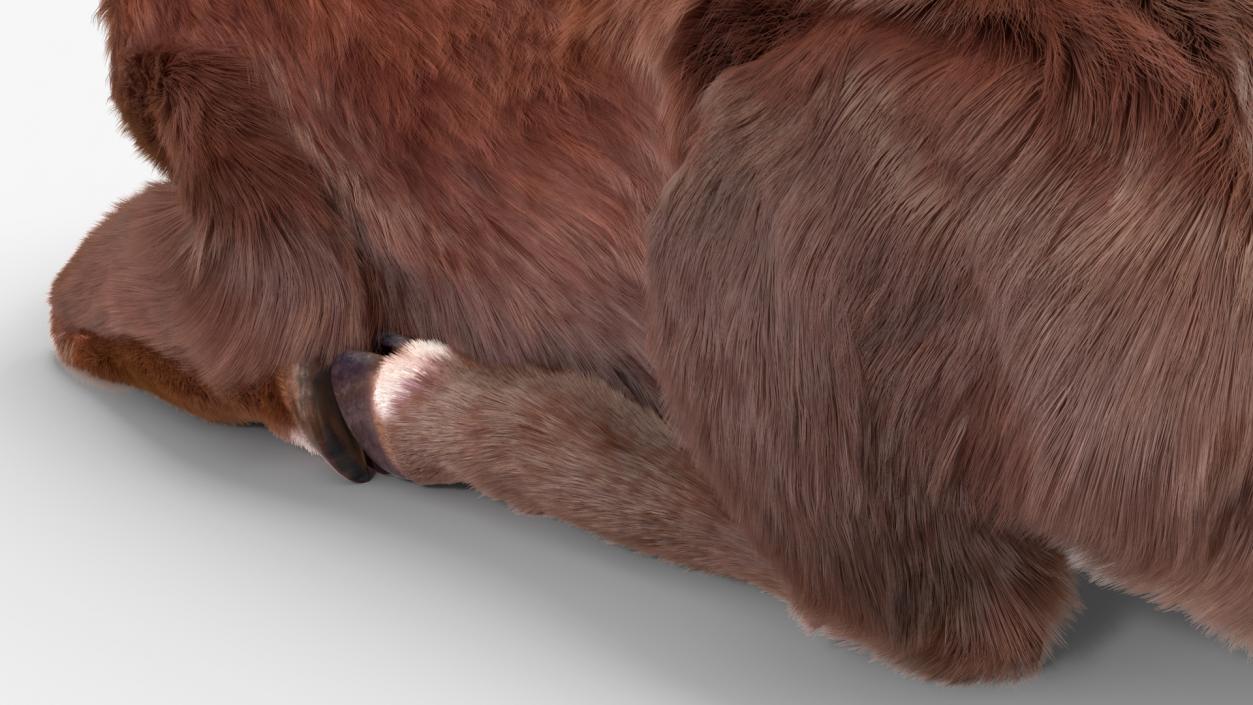 3D Saola Reclining Pose Fur 2