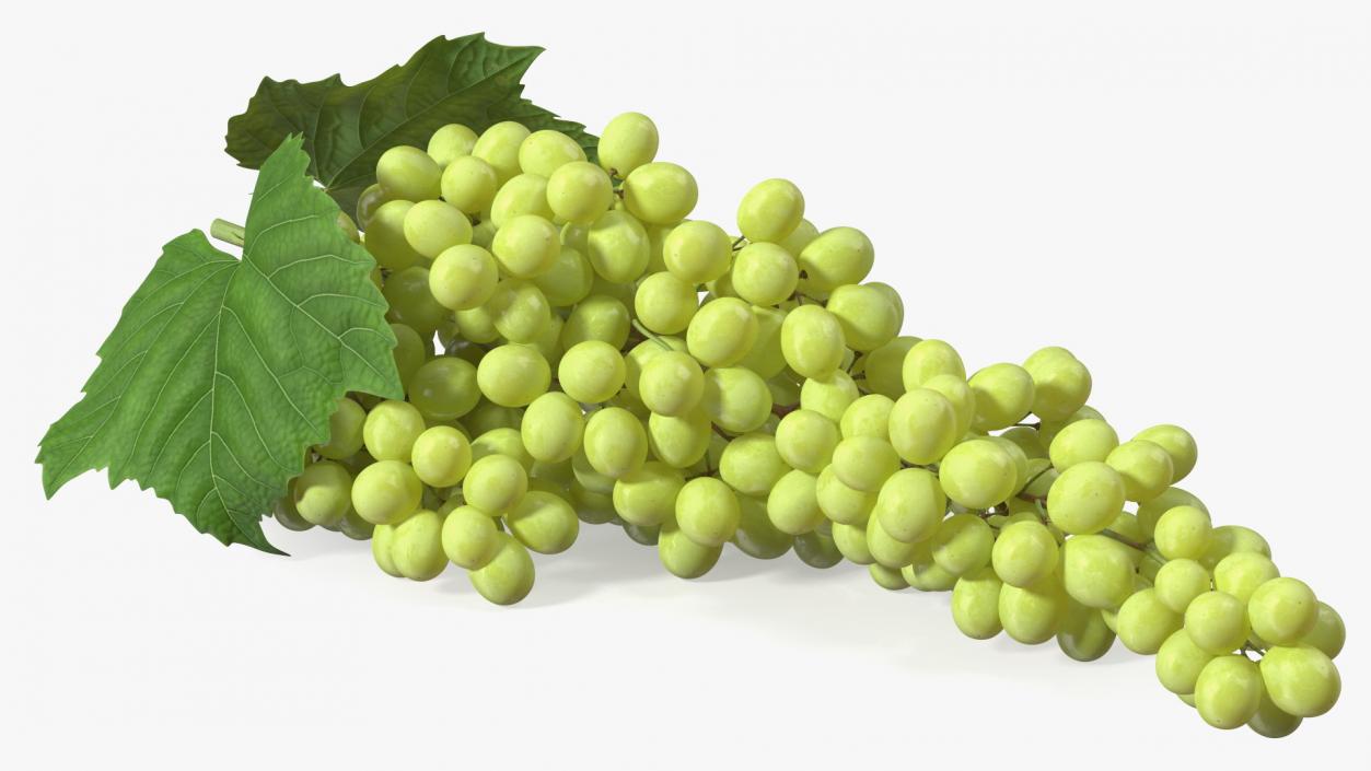 3D Sultana Green Grape Cluster Lying model