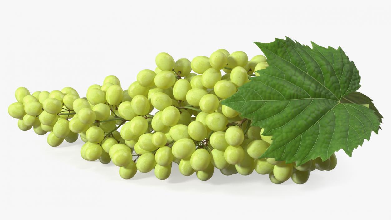 3D Sultana Green Grape Cluster Lying model