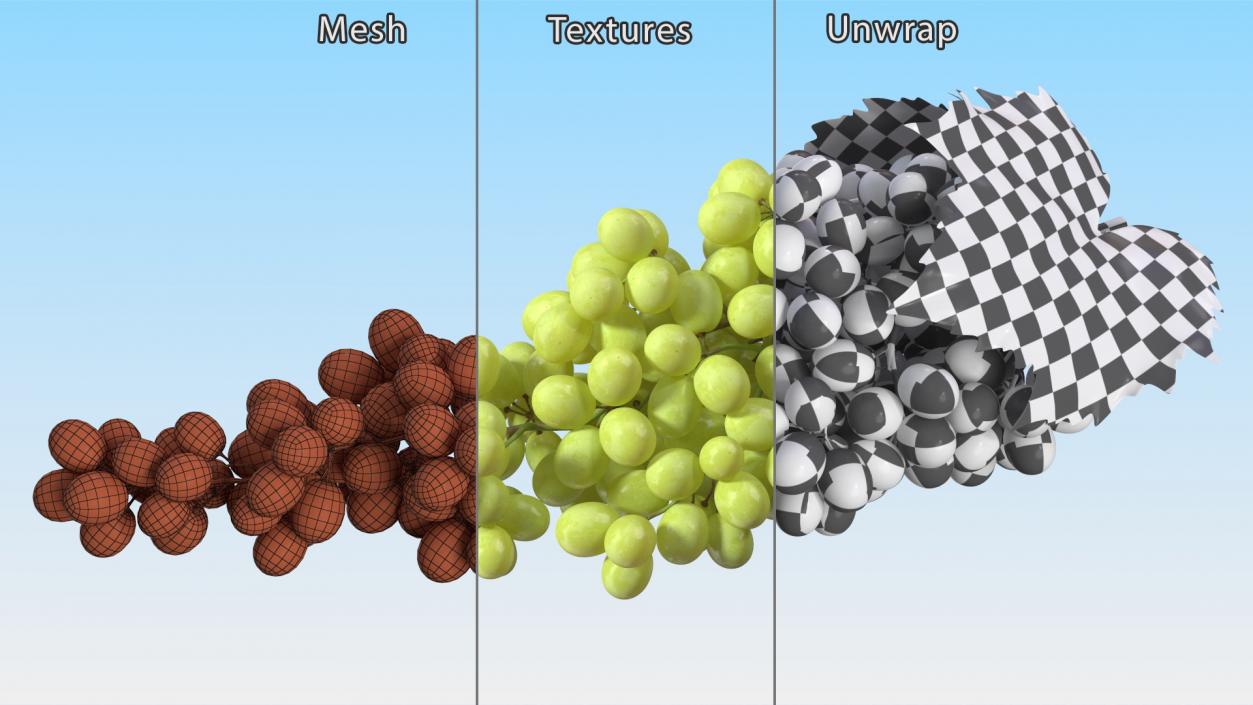 3D Sultana Green Grape Cluster Lying model